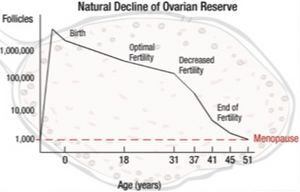 Quelle: www.myoncofertility.org
